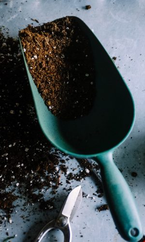 neslihan-gunaydin-BduDcrySLKM-unsplash